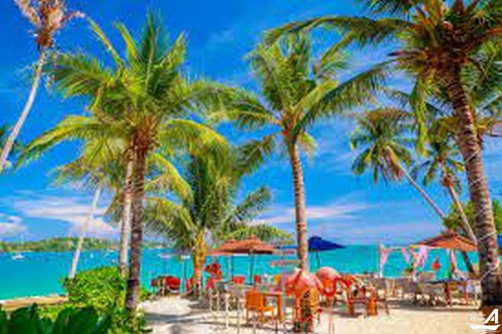Best Beach Clubs in Phuket Flamingo beach