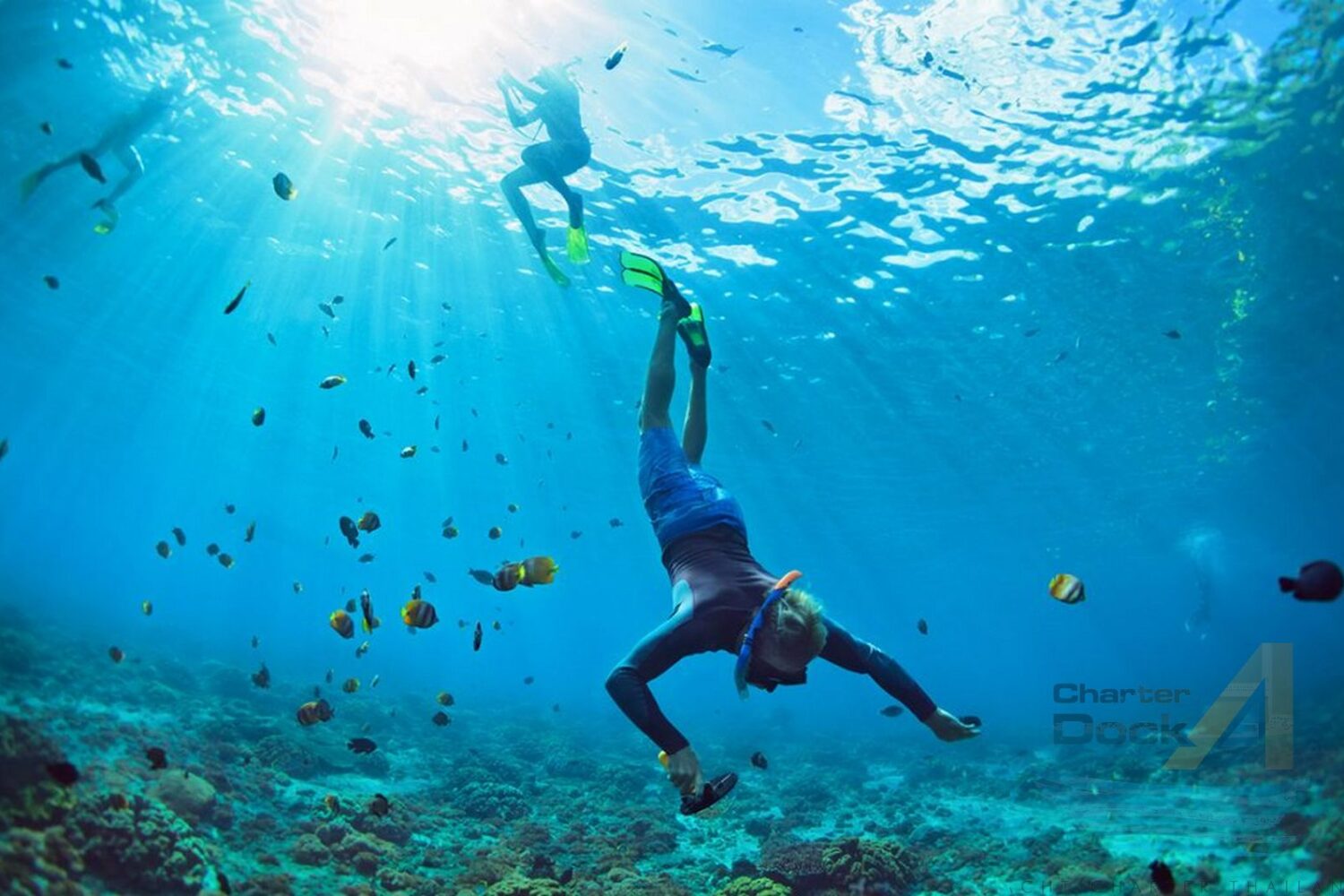 guy-free-dive-snorkeling